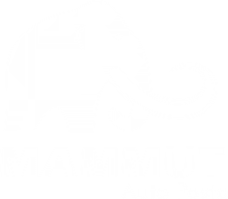 Auto Posto Mammut